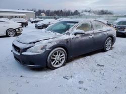 Nissan Maxima salvage cars for sale: 2011 Nissan Maxima S