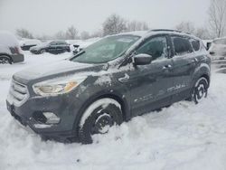 Salvage cars for sale from Copart Ontario Auction, ON: 2018 Ford Escape SE