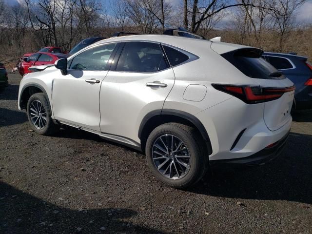 2024 Lexus NX 350H Base