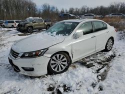 Honda Accord Vehiculos salvage en venta: 2015 Honda Accord EXL