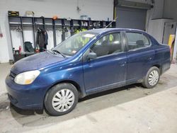 Toyota Echo salvage cars for sale: 2003 Toyota Echo