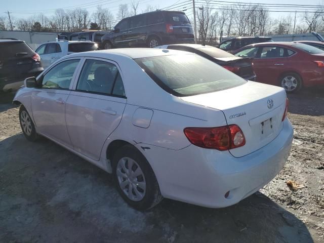 2010 Toyota Corolla Base