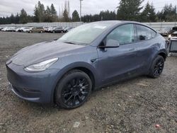 Tesla Model y Vehiculos salvage en venta: 2023 Tesla Model Y