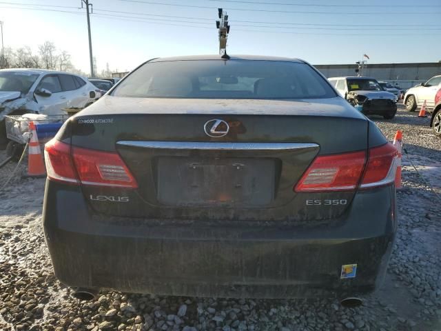 2010 Lexus ES 350