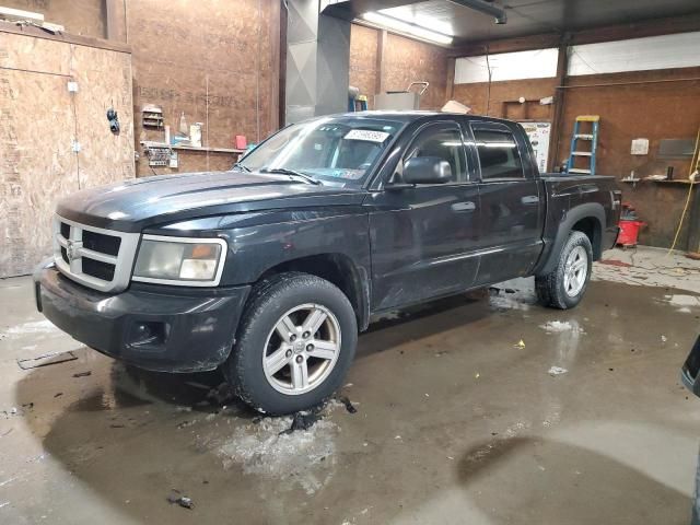 2010 Dodge Dakota SXT