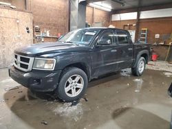 Dodge Dakota salvage cars for sale: 2010 Dodge Dakota SXT