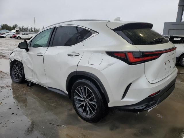 2024 Lexus NX 250 Premium