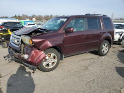 Honda Vehiculos salvage en venta: 2009 Honda Pilot EXL