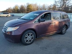 Honda salvage cars for sale: 2013 Honda Odyssey EXL