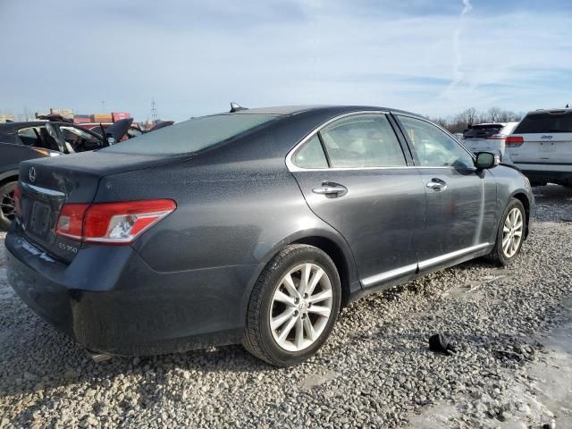 2010 Lexus ES 350