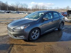 2017 Ford Focus SE for sale in Marlboro, NY