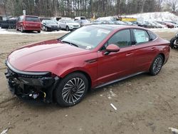 Hyundai Sonata salvage cars for sale: 2024 Hyundai Sonata Hybrid