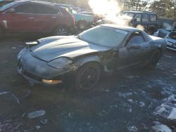 1997 Chevrolet Corvette for sale in Denver, CO