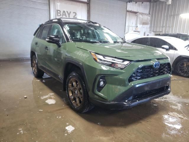 2024 Toyota Rav4 Woodland Edition