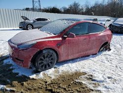 Tesla salvage cars for sale: 2021 Tesla Model Y