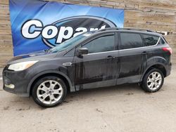 Ford salvage cars for sale: 2013 Ford Escape SE