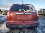 2007 Honda CR-V EXL