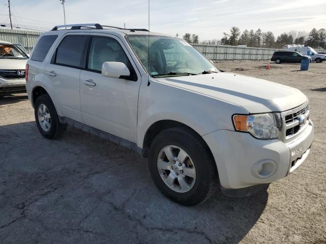 2012 Ford Escape Limited