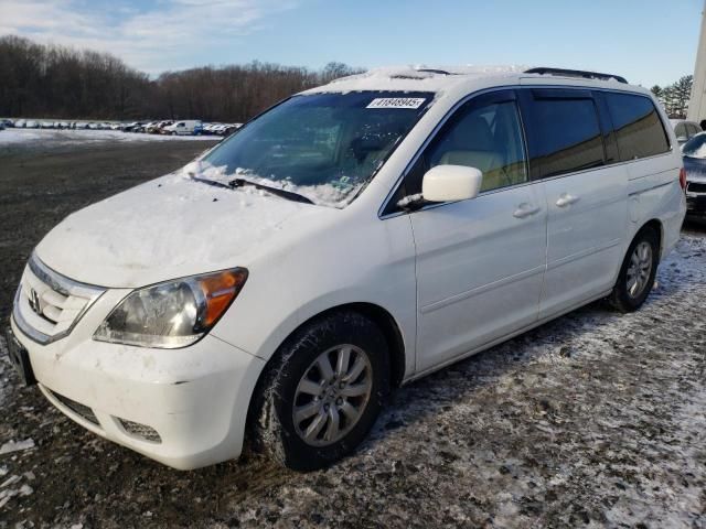 2009 Honda Odyssey EXL