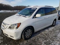 Honda salvage cars for sale: 2009 Honda Odyssey EXL