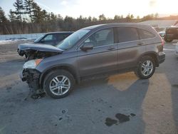 2010 Honda CR-V EXL for sale in Windham, ME