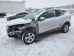 Ford salvage cars for sale: 2013 Ford Escape SE