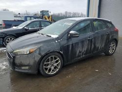 Ford Focus salvage cars for sale: 2015 Ford Focus SE