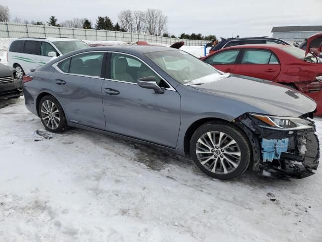 2020 Lexus ES 300H