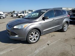 Ford Escape sel Vehiculos salvage en venta: 2013 Ford Escape SEL