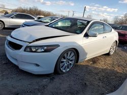 Honda Accord salvage cars for sale: 2010 Honda Accord EXL