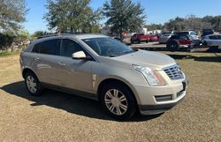 2010 Cadillac SRX Luxury Collection en venta en Ocala, FL