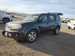 2011 Honda Pilot EXL for sale in Tucson, AZ