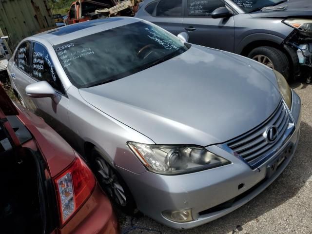 2011 Lexus ES 350