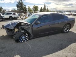 Dodge salvage cars for sale: 2016 Dodge Charger SXT