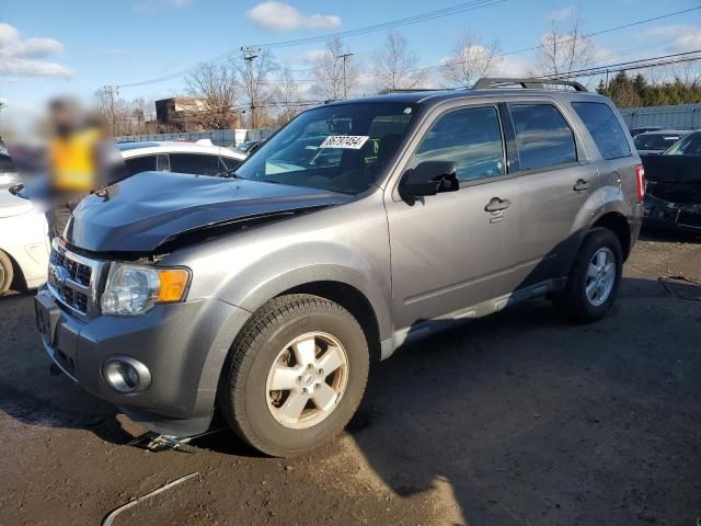 2011 Ford Escape XLT