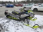 2023 Skidoo Backcountr