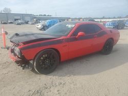 Dodge Challenger salvage cars for sale: 2017 Dodge Challenger R/T 392