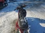 2024 Jiaj Moped
