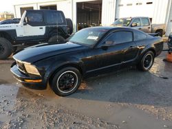 Ford Mustang salvage cars for sale: 2005 Ford Mustang