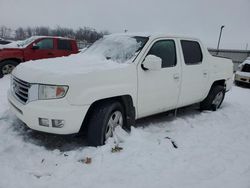Salvage trucks for sale at Lawrenceburg, KY auction: 2013 Honda Ridgeline RTL