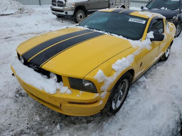 2005 Ford Mustang