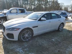 Jaguar salvage cars for sale: 2021 Jaguar XF R-DYNAMIC SE