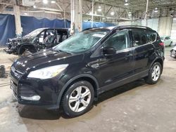 Ford Escape salvage cars for sale: 2016 Ford Escape SE