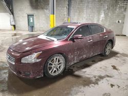 Nissan Maxima salvage cars for sale: 2010 Nissan Maxima S