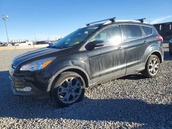 2014 Ford Escape Titanium for sale in Brighton, CO