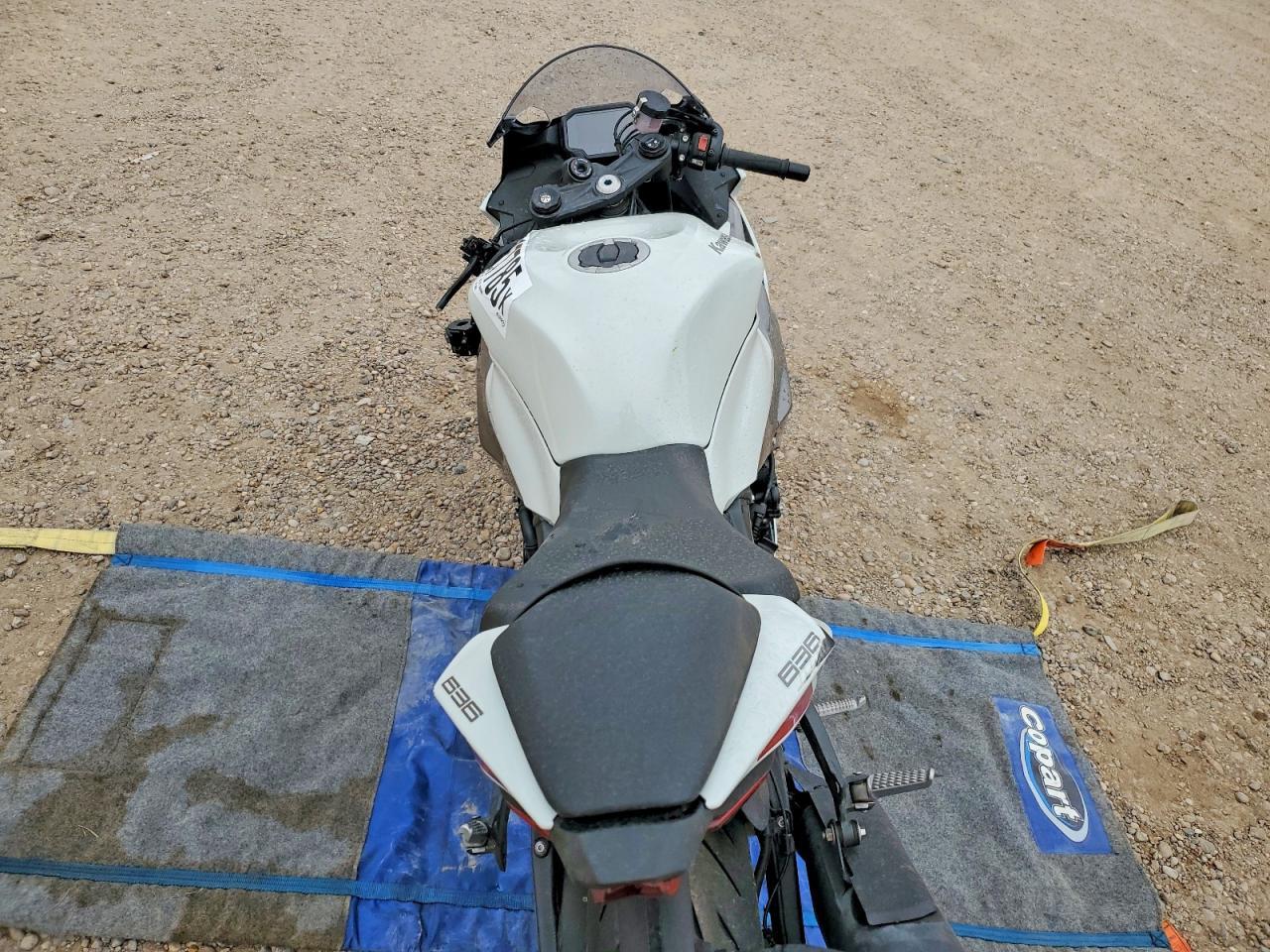 2025 Kawasaki ZX636 K