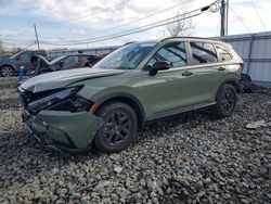 2026 Honda Cr-v Trailsport for sale in Windsor, NJ
