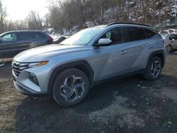 Hyundai salvage cars for sale: 2024 Hyundai Tucson