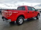 2009 Ford F150 Supercrew