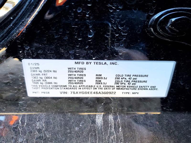 2025 Tesla Model y
